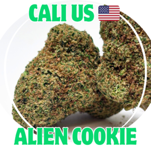 Alien Cookie - Fleurs CBD Premium - à partir de 5€/G