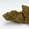 VANILLA-CREAM-INDOOR