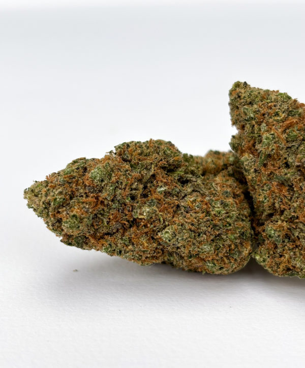VANILLA-CREAM-INDOOR