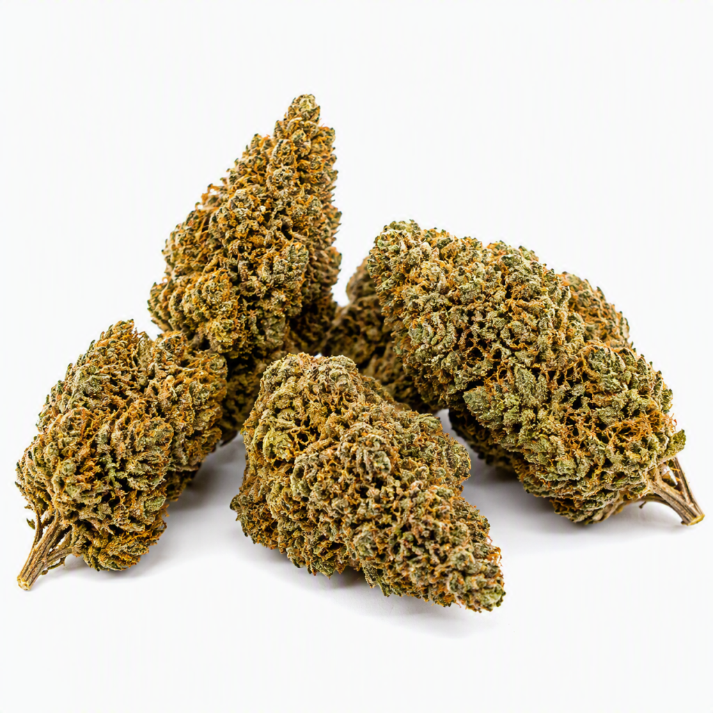 Blueberry Muffin CBD Californien