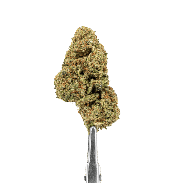 fleur-cbd-forbidden-fruits-hydro (1)