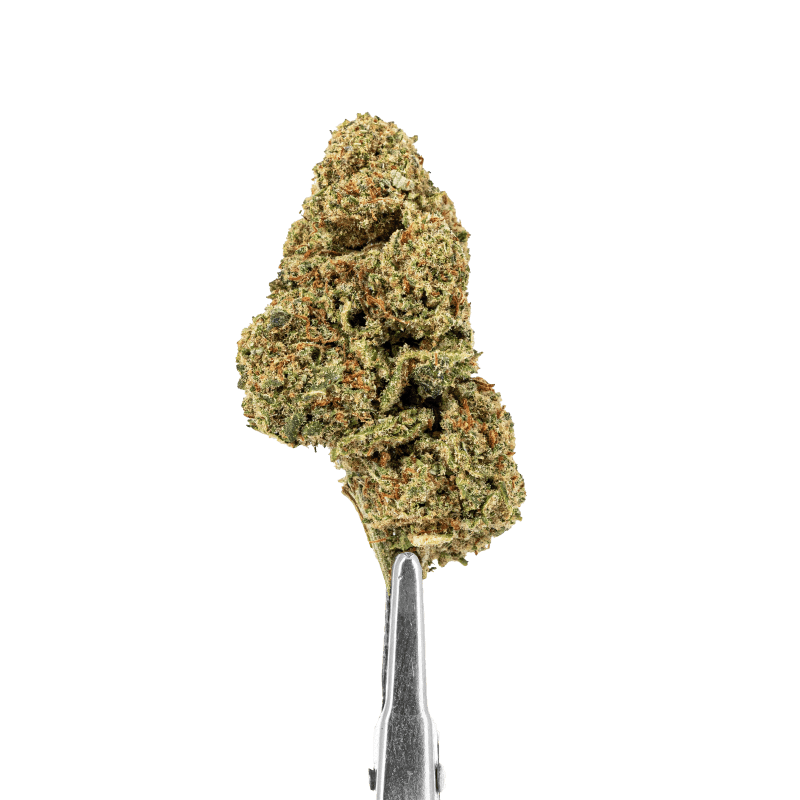 fleur-cbd-forbidden-fruits-hydro (1)