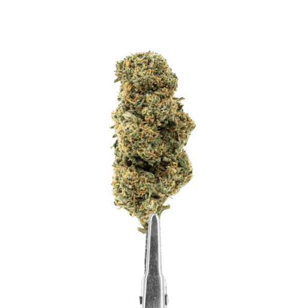 fleurs-cbd-cali-grape-indoor-mid-bud