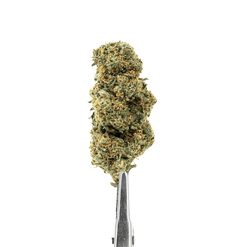 fleurs-cbd-cali-grape-indoor-mid-bud