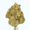 fleur-cbd-zushi-hydroponie