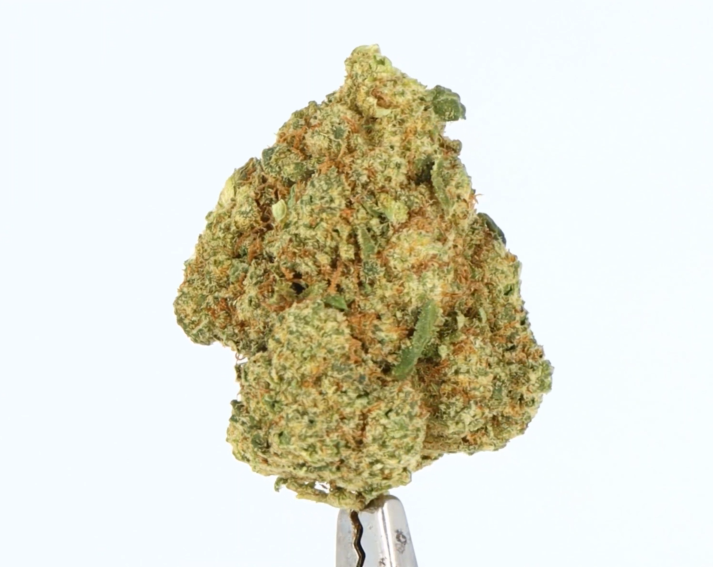 fleur-cbd-zushi-hydroponie