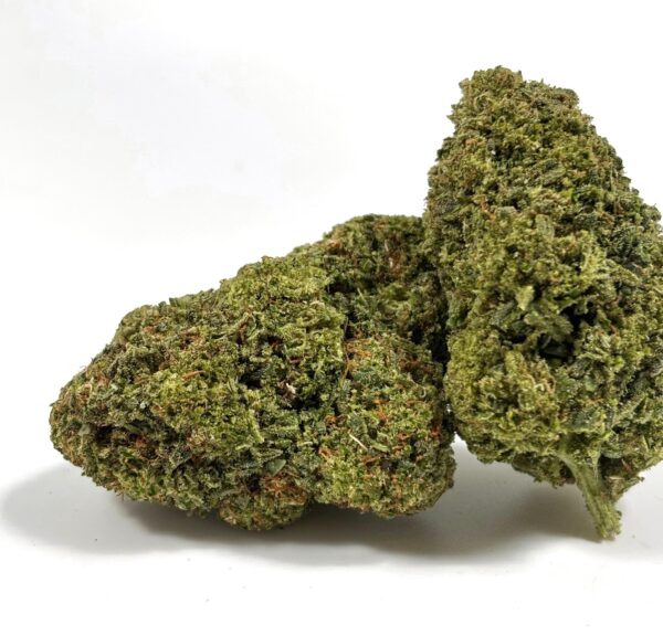 White siberian-CRYO- cbd cali