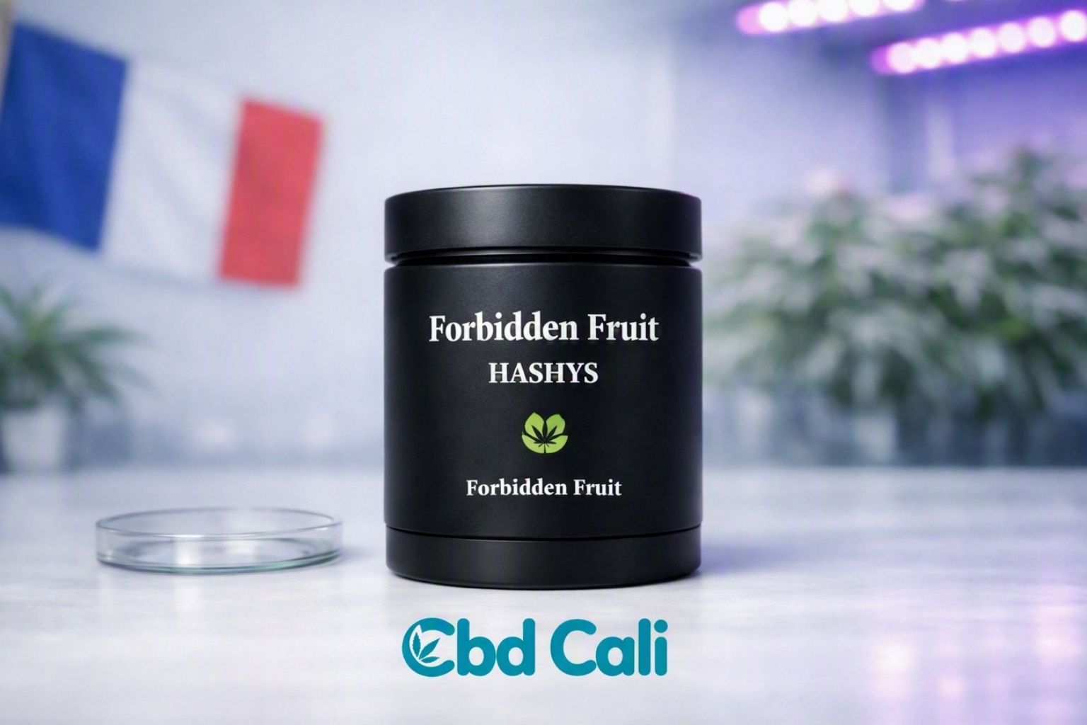 Hash cbd français