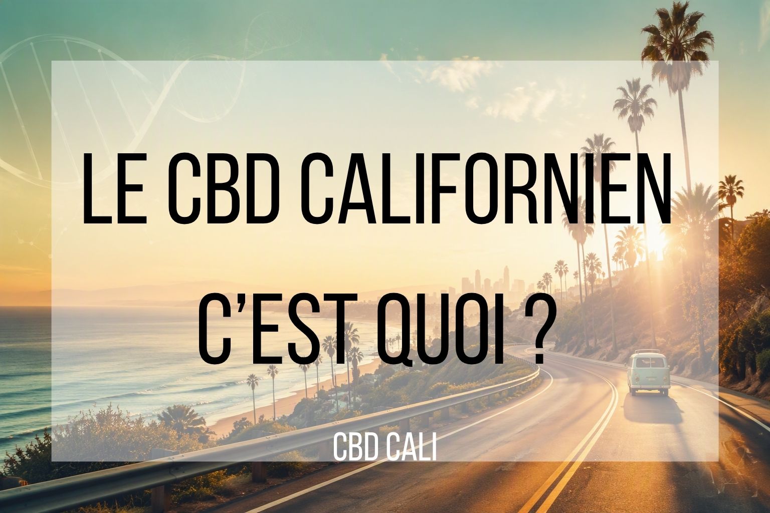 CBD Californien